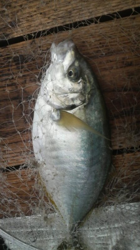 優しい方々に感謝です。