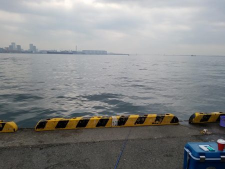 マイワシ22cm、サバ30cmオーバー、爆釣