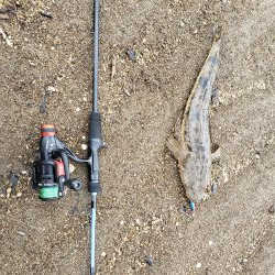 いつもの場所で