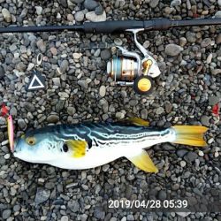 平成、釣り納め遠征！