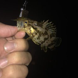 17日夜のべた凪で