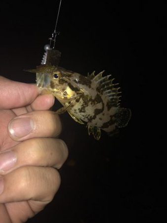 17日夜のべた凪で