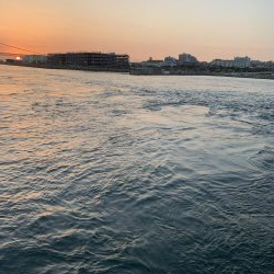 タルイチオールナイトメバリング