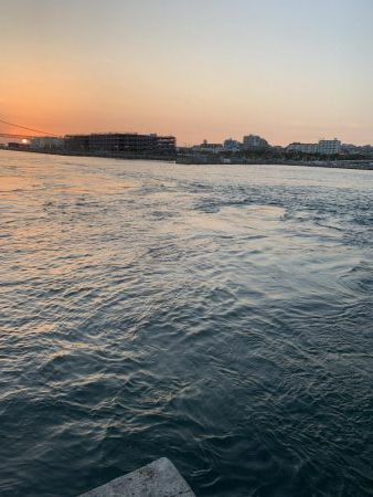 タルイチオールナイトメバリング