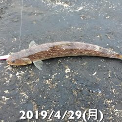 日の出と共に…