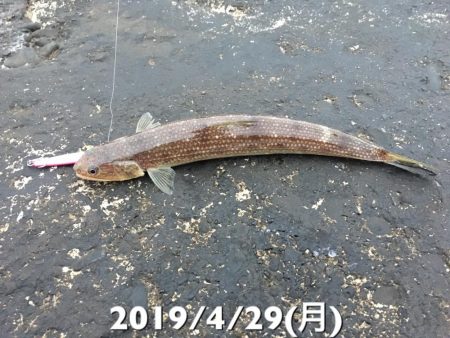 日の出と共に…