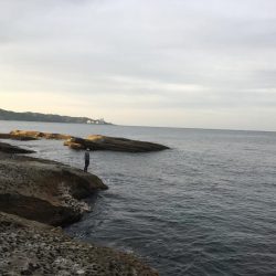 これがスーパーオモックの力