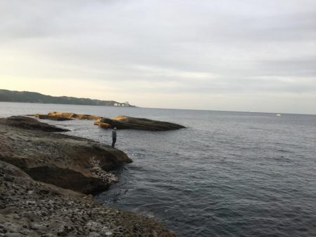 これがスーパーオモックの力