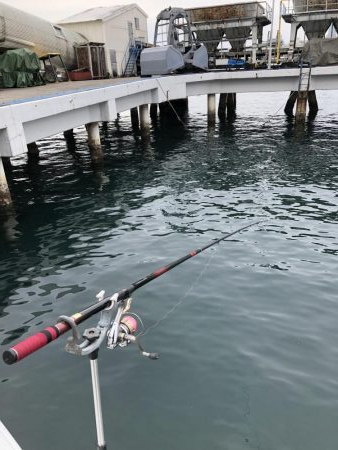 エビ撒きまくり