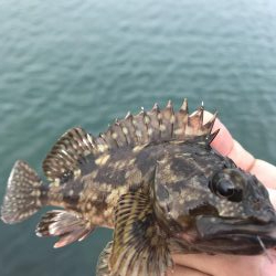 初釣行で釣り場調査