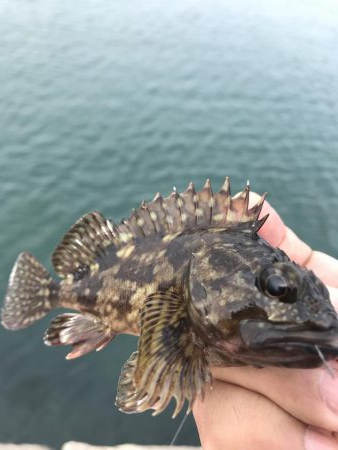 初釣行で釣り場調査