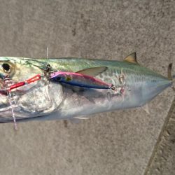 平成最後の釣り