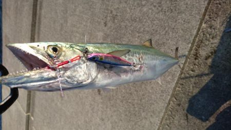 平成最後の釣り