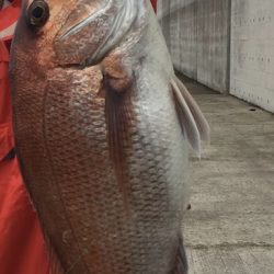 ショアジギング