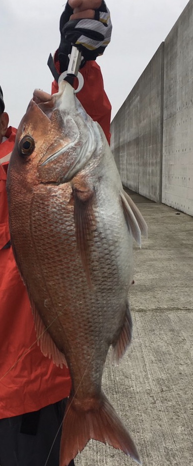 ショアジギング