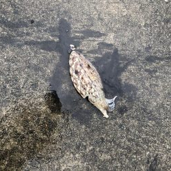 雨と風の中なんとか一杯