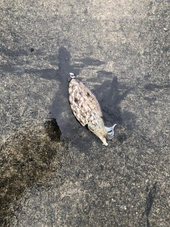 雨と風の中なんとか一杯