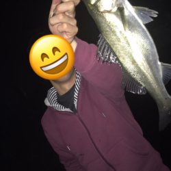 敦賀バチ抜けシーバス