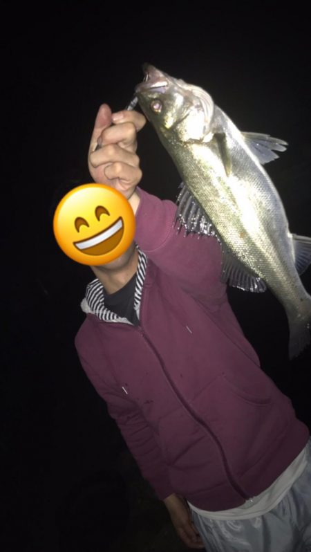 敦賀バチ抜けシーバス