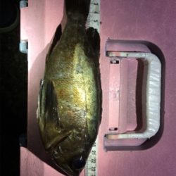 5目ライトゲーム(*^ω^*)