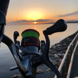 朝マズメ シーバス