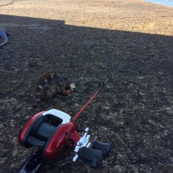 まさかの展開！