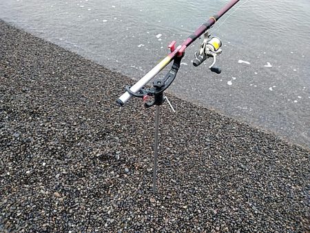 やっぱりイイ潮みたいです!!