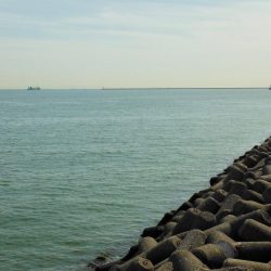 マイクロボイルにロリベ投げたら