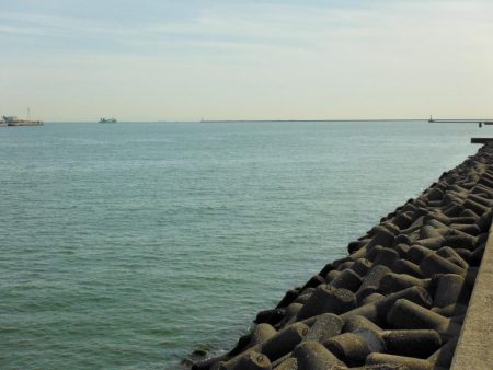 マイクロボイルにロリベ投げたら