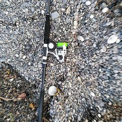 サーフでも　ガシラできました!!