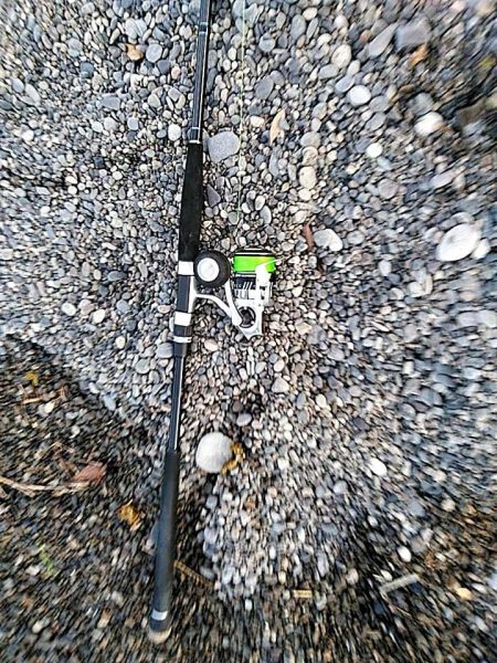 サーフでも　ガシラできました!!