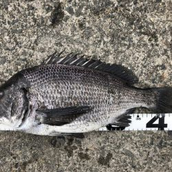 イチノ兄弟、釣果!