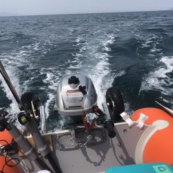 ボート釣り開幕