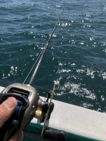 泉州丸さんでメガガシラ