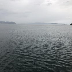 帰省釣行(津奈木町)