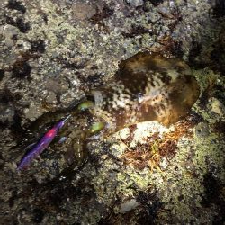 次はキロアップ