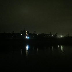 今日は、良く釣れました！