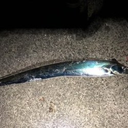 平成最後の太刀