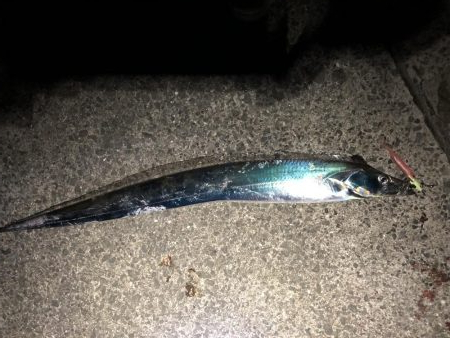 平成最後の太刀