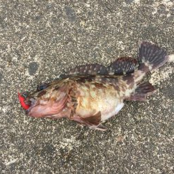 やっぱり穴たが好き