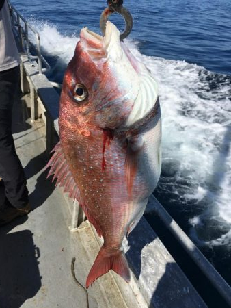 初日本海ジギング