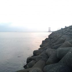 風が強かった！