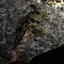 潮が動き始めたら・・・