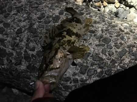 潮が動き始めたら・・・