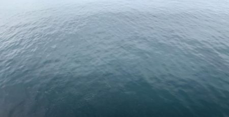 サゴシカッター