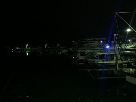 メバルの煮付けが食べたくて！