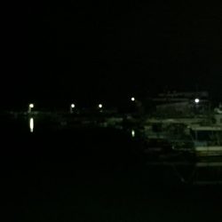 今日は、ワームでした！