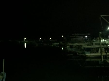 今日は、ワームでした！