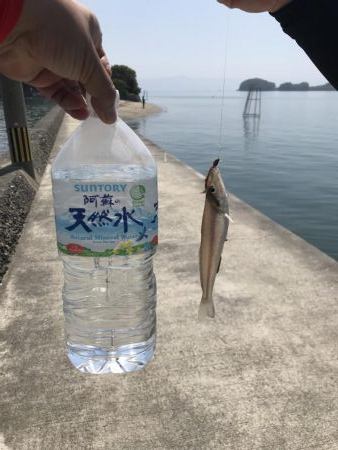 天草釣行①