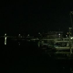 今日のメバルはラグゼのワーム